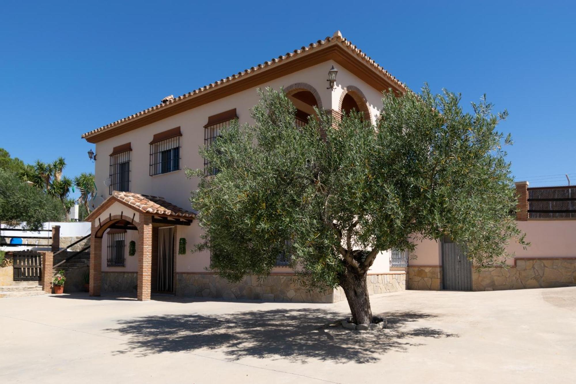 Casa Los Olivos Alora - Caminito Del Rey Exterior foto
